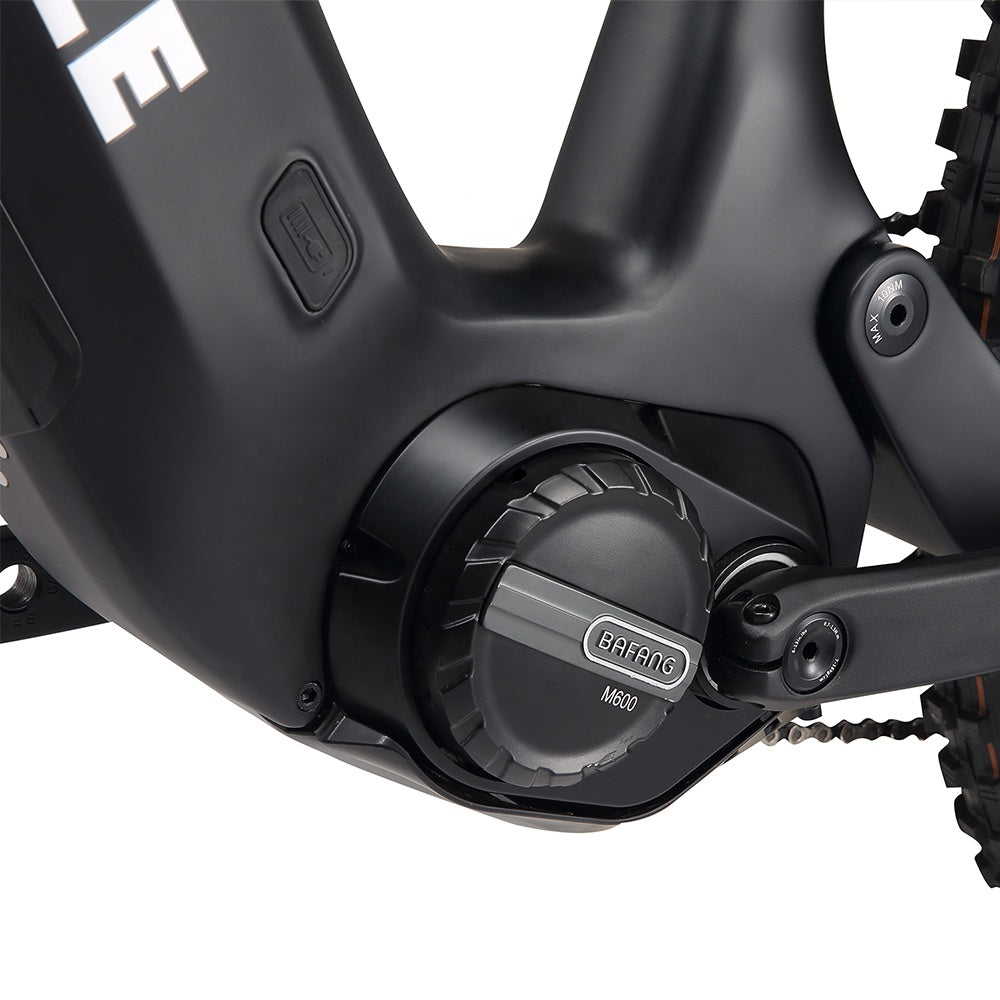 Volture Fly FS Pro eBike